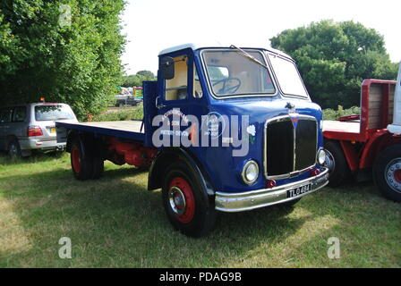 Un 1956 A.E.C. Camion à plate-forme de mercure sans rouler sur l'affichage à Torbay, juste à vapeur Churston, Devon, England, UK Banque D'Images