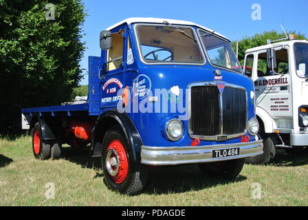 Un 1956 A.E.C. Camion à plate-forme de mercure sans rouler sur l'affichage à Torbay, juste à vapeur Churston, Devon, England, UK Banque D'Images