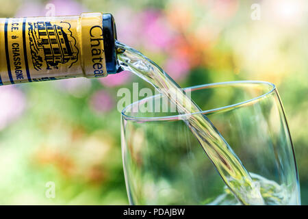 En bouteille château Chassagne-Montrachet blanc versant alfresco Bourgogne Chardonnay vin en situation de plein air floral ensoleillé Banque D'Images