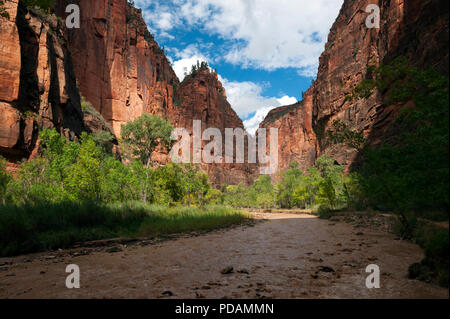 Virgin River, Zion National Park, Utah, USA. Banque D'Images