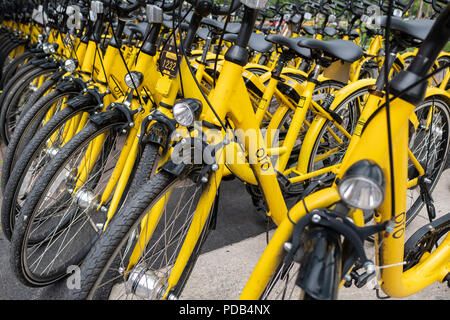 Pathum Thani, Thaïlande - Mai 3, 2018 : les vélos sont garés Ofo sur le côté de la route. Ofo est un fournisseur de service de vélos en libre-service. Banque D'Images