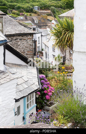 Le joli village de pêcheurs de Port Isaac, sur la côte nord de Cornwall, England, UK Banque D'Images