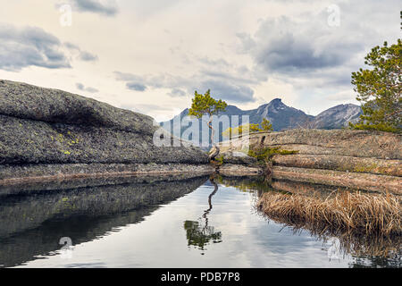 Beau Pin courbées sur le lac dans les montagnes du parc national en Karkaraly Centre du Kazakhstan Banque D'Images