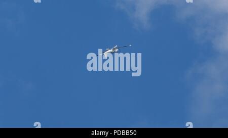 Gorb tuteur, l'aviation générale d'aéronefs à voilure fixe de la formation. Torbay Airshow 2018. Banque D'Images