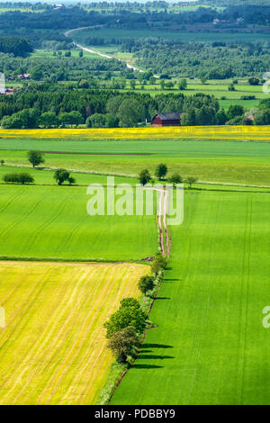 Sur les terres agricoles avec champ et arbres Banque D'Images
