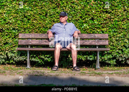 Hauts homme âgé assis sur un banc en face du mur couvert de lierre Banque D'Images
