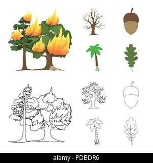 Burning tree, palm, acorn, arbre sec.forest set collection icônes de cartoon style du contour symbole,vecteur illustration stock . Illustration de Vecteur