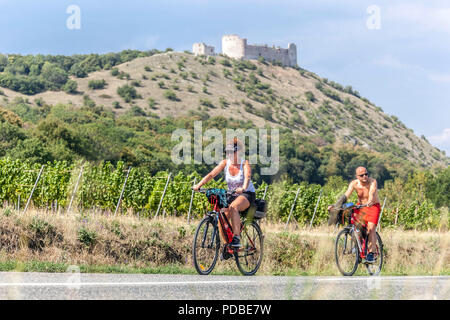 Motards, région de Palava, pistes cyclables à travers les vignobles Moravia route des vins à vélo République tchèque Europe route des vignobles Banque D'Images