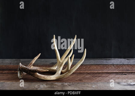 Une paire de bois de cerf de Virginie sur une table en bois rustique, d'un fond noir utilisé par les chasseurs lors de la chasse pour réveiller dans d'autres grandes buc Banque D'Images