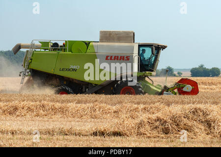Rendmt Lexion moissonneuse-batteuse de classe 740 Coupe du blé, de Bawdsey, Suffolk, UK. Banque D'Images