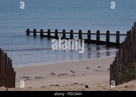 Bois épis le long de la plage de Dawlish Warren par temps calme et ensoleillé jour étés. Devon, Royaume-Uni. Banque D'Images