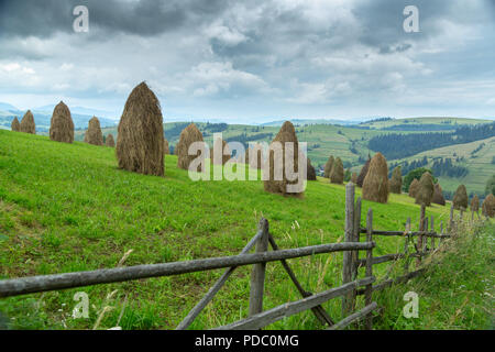 Pile de foin sur une prairie de montagne sur une colline. Beau paysage de campagne montagneuse sur une journée ensoleillée. Carpates Ukraine Banque D'Images