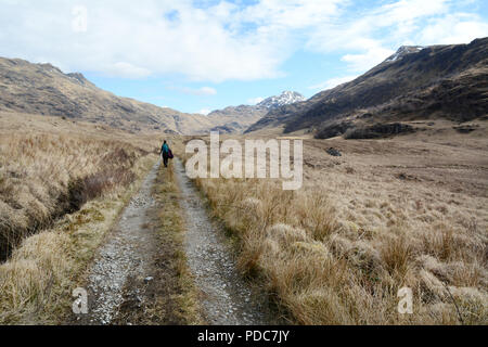 Une seule femme randonneur promenades le long d'un sentier de randonnée dans les Highlands écossais de l'intérieur de la péninsule de Knoydart, Ecosse, Royaume-Uni. Banque D'Images