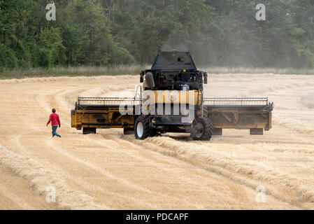 Whitchurch, Hampshire, England, UK. 08août 2018. Plus tôt aujourd'hui. Recueillir la dernière récolte avant la pluie arrive sur une ferme à Whitchurch, Hampshire, Royaume-Uni. Peter Titmuss/ Alamy Live News Banque D'Images