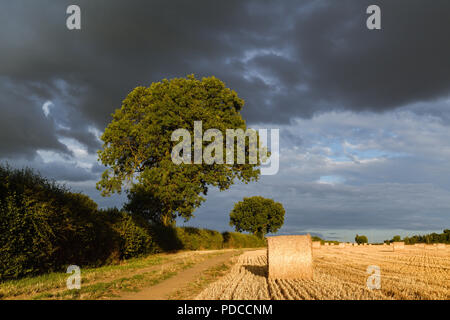 Underwood, Dorset, UK : 08 Aout 2018 : Après des semaines de ciel bleu à travers les nuages d'orage spectaculaire sur le champs récoltés de la bretagne campagne. Crédit : Ian Francis/Alamy Live News Banque D'Images