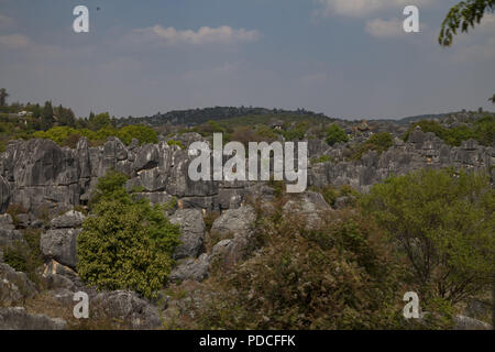 Kunming, Kunming, Chine. 9 Août, 2018. Kunming, Chine-La forêt de pierre de Shilin, également connu sous le nom, est une fantastique série de groupes de calcaire et le représentant de la Chine du sud paysage karstique situé dans la région de Kunming, au sud la province chinoise du Yunnan. Crédit : SIPA Asie/ZUMA/Alamy Fil Live News Banque D'Images