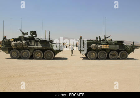 Une paire de Strykers se prépare à quitter les unités de rotation un bivouac le 4 août dans le cadre d'un convoi de véhicules soutenant la 56e Stryker Brigade Combat Team durant leur stage de formation 18-09 au Centre National d'entraînement, Fort Irwin, ca. (US Army National Guard Photo par le Sgt. Zane Craig) Banque D'Images