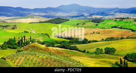 Nature incroyable à Pienza,vue panoramique,Toscane,Italie. Banque D'Images