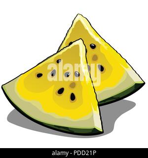 Ensemble de tranches de melon jaune à maturité. Élément d'une alimentation saine. Fruits tropicaux délicieux et sain isolé sur un fond blanc. Vector illustration. Illustration de Vecteur