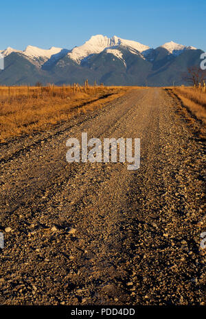 Country Road, Montana, menant vers la montagne Banque D'Images