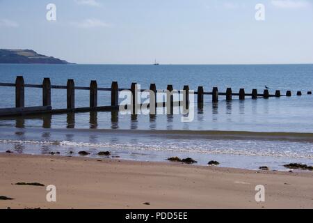 Plage en bois épi à Dawlish Warren on un jour d'été ensoleillé calme. Devon, Royaume-Uni. Août, 2018. Banque D'Images