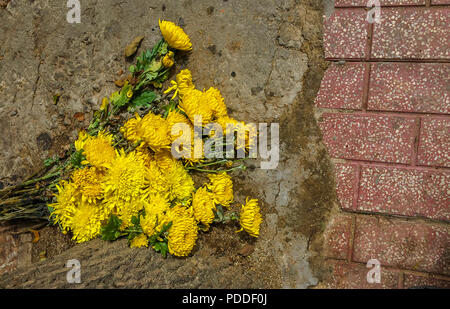 Un bouquet de fleurs jaunes portant sur le sol à côté de la brique et de la saleté. Banque D'Images