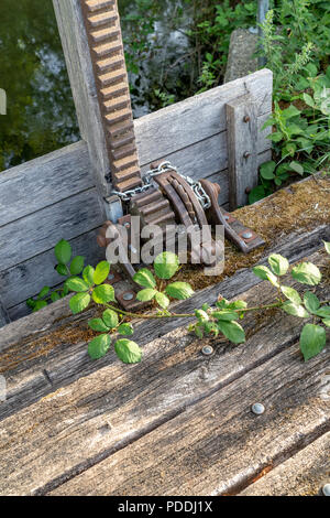 Ratchet pour abaisser ou relever une petite rivière verrouiller la porte avec une branche de plus en plus elle bramble Banque D'Images