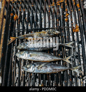 Le maquereau grillé poisson sur le BBQ libre Banque D'Images