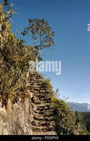 L'inca stone path sur Machu Picchu (montagne Montaña Machupicchu). Montée raide et difficile jusqu'à 3 061 mètres au-dessus du niveau de la mer. Le Pérou. Jul 2018 Banque D'Images