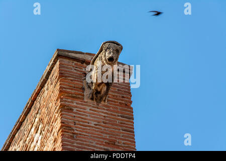 Gargoyes de cathédrale de Saint Jean Baptiste de Perpignan, Pyrénées-Orientales, Occitanie, France Banque D'Images