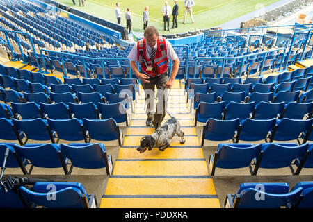 De 0001 sous embargo vendredi 10 août chien renifleur Charlie et Frank gestionnaire Thornborrow vérifier l'élève à la Chelsea stade de Stamford Bridge à Londres au cours d'une manifestation par la police antiterroriste network avant le début de la saison de Premier League. La police est encourageant les fans de football pour les aider à lutter contre le terrorisme en signalant tout problème de sécurité à l'occasion des matches. Banque D'Images