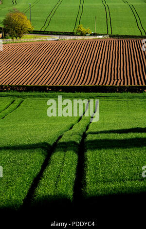 Champs Labourés au début du printemps Banque D'Images