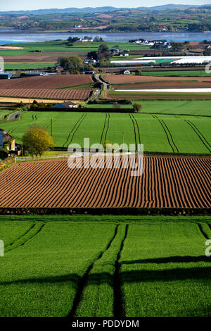 Champs Labourés au début du printemps Banque D'Images