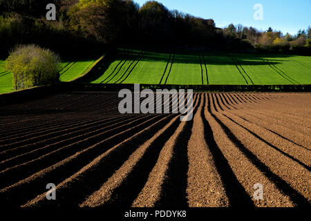 Champs Labourés au début du printemps Banque D'Images