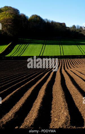 Champs Labourés au début du printemps Banque D'Images