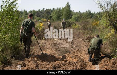 Les soldats de l'armée américaine responsable de la construction de la paix Visitez un lieu de travail où un ingénieur polonais soldats sont vastes pour les engins non explosés au cours de Resolute, au Château 2018 Kielce Domaine de formation, la Pologne, le 14 mai 2018. Resolute Castle est un exercice d'entraînement multinational pour l'OTAN et l'armée américaine des ingénieurs, qui prend en charge la résolution de l'Atlantique en favorisant l'interopérabilité. Résoudre l'Atlantique est une démonstration de l'engagement des États-Unis à la sécurité collective de l'Europe à travers le déploiement de forces américaines en rotation en coopération avec l'OTAN et les pays partenaires. Banque D'Images