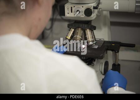 Le sergent de l'US Air Force. Renee Delgado, 18e Groupe médical Technicien de laboratoire, examine une diapositive 14 mai 2018, à Kadena Air Base, au Japon. Les techniciens de laboratoire tester différents types de bactéries dans les petites plaques. Une fois que les bactéries commencent à se multiplier, il est connu comme une "culture". Banque D'Images