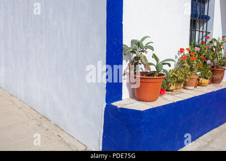 Sud du Portugal, petite maison de campagne. Maison typique dans le sud du Portugal. Alentejo Banque D'Images