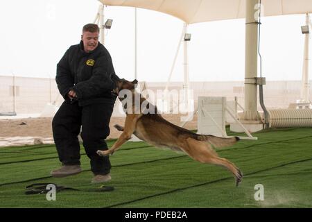 Les membres du 379e Escadron des Forces de sécurité de la Force expéditionnaire du Canada participent à un K-9 concours durant la Semaine nationale de la Police à Al Udeid Air Base, au Qatar, le 14 mai 2018. Tout au long de la semaine, les forces de sécurité ont procédé à de nombreuses manifestations en l'honneur des défenseurs des droits de l'homme qui est mort dans l'exercice de leurs fonctions. Banque D'Images