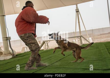 Les membres du 379e Escadron des Forces de sécurité de la Force expéditionnaire du Canada participent à un K-9 concours durant la Semaine nationale de la Police à Al Udeid Air Base, au Qatar, le 14 mai 2018. Tout au long de la semaine, les forces de sécurité ont procédé à de nombreuses manifestations en l'honneur des défenseurs des droits de l'homme qui est mort dans l'exercice de leurs fonctions. Banque D'Images