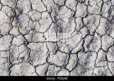 Un close-up de fissures profondes sur le terrain, en raison d'une sécheresse. Le concept de changements écologiques dans la nature Banque D'Images