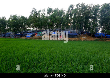 Réfugiés Rohingyas se réfugier sur une colline à Kutupalong, Cox's Bazar, Bangladesh Banque D'Images