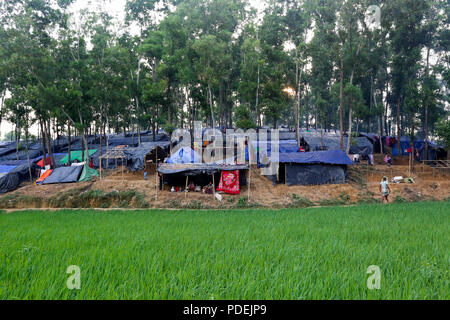 Réfugiés Rohingyas se réfugier sur une colline à Kutupalong, Cox's Bazar, Bangladesh Banque D'Images