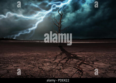 Terre à terre craquelée et arbre sec sec. Avec l'orage Banque D'Images