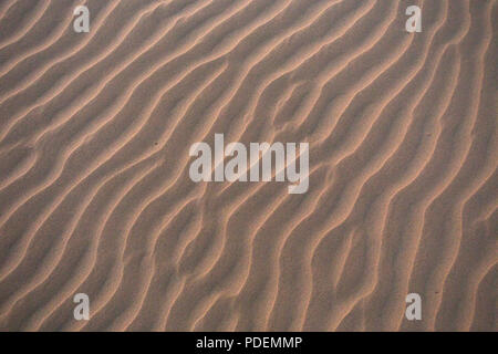 Les patrons de sable sur une plage, Parc National de Yuraygir, NSW, Australie Banque D'Images