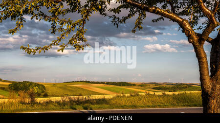 Très belle vue panoramique du paysage rural avec des silhouettes d'éoliennes à l'horizon. Banque D'Images