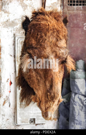 Tête d'un chameau dépecé sur l'affichage à l'étal d'un boucher au marché marocain à Fès Banque D'Images