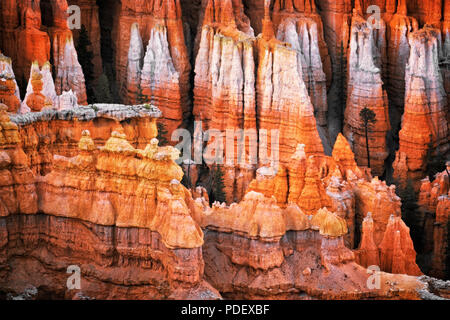 Le crépuscule civil du soir sur l'éclat de la ville silencieuse hoodoos de Inspiration Point dans l'Utah, le Parc National de Bryce Canyon. Banque D'Images