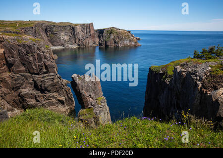 La côte sauvage le long John Câble Cove (Wild Cove), péninsule de Bonavista, Terre-Neuve, Canada Banque D'Images