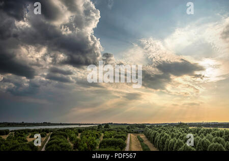 Ciel dramatique avec faible ensoleillement et de sombres nuages s'approchant sur l'île d'IJsselmonde et la Oude Maas (rivière) vus de la colline artificielle à la location Banque D'Images